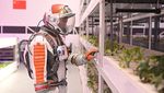 Serunya Bermain di Planet Mars Buatan China