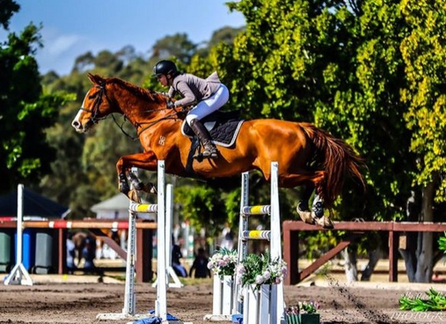 Dia dilarikan ke rumah sakit setelah kecelakaan saat menunggang kuda. Pihak rumah sakit menyatakan kondisinya kritik saat itu pada 2 April. Foto: Instagram