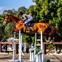 Dia dilarikan ke rumah sakit setelah kecelakaan saat menunggang kuda. Pihak rumah sakit menyatakan kondisinya kritik saat itu pada 2 April. Foto: Instagram
