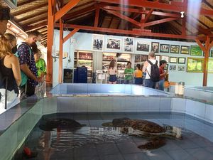Desa Wisata Serangan Denpasar Masuk Nominasi 75 Besar ADWI 2023