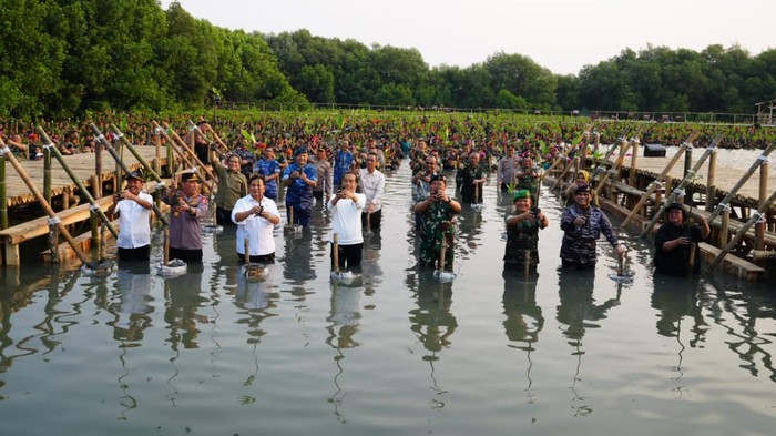 Museum Rekor Indonesia (Muri) memberikan apresiasi kepada Markas Besar Tentara Nasional Indonesia (Mabes TNI) atas prakarsanya menyelenggarakan penanaman 1.169.000 bibit Mangrove secara serentak tersebar di 370 lokasi di seluruh Indonesia pada Senin (15/5/2023).