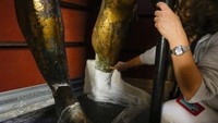 Penemuannya pada tahun 1864 saat pengerjaan sebuah vila milik seorang bankir di dekat Piazza dei Fiori menjadi berita utama di seluruh dunia.  