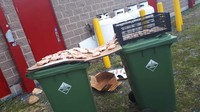 Salah satu restoran ini tertangkap menjemur potongan daging ayam yang mereka jual di atas tempat sampah. Duh! Foto: Pool/Site