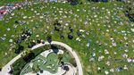 Santuynya Warga San Fransisco Berjemur di Taman Dolores