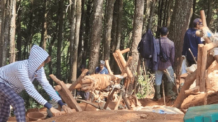 Aksi perambahan lahan milik Perhutani di Blok Cibuluh, Desa/Kecamatan Ciemas, Kabupaten Sukabumi masih berlangsung hingga hari ini.