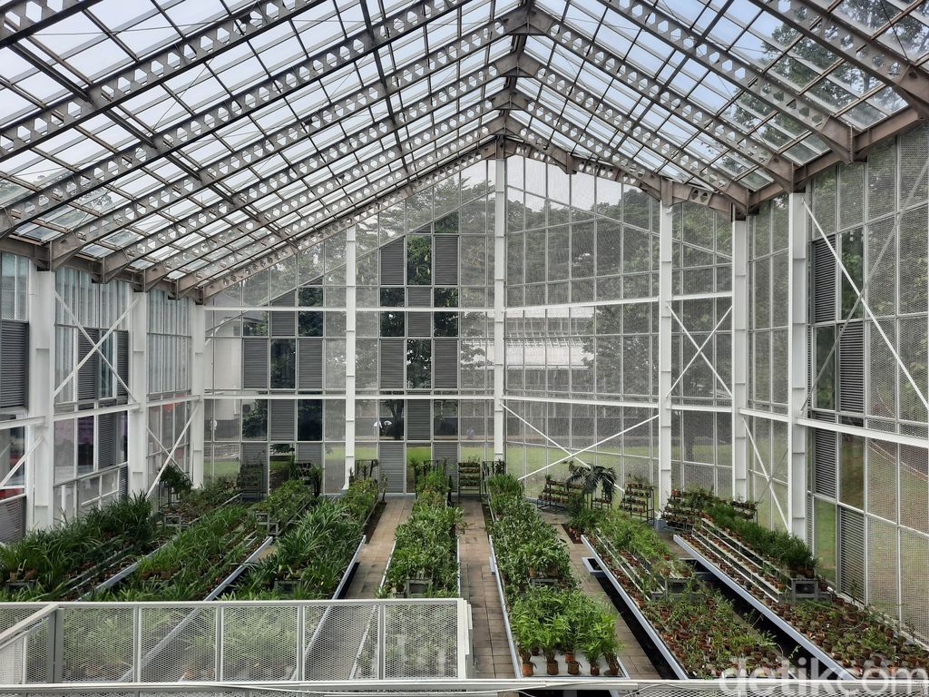 Griya Anggrek di Kebun Raya Bogor
