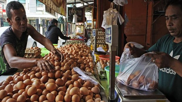 Pekerja mengangkut telur ayam di Pasar Induk Rau Kota Serang, Banten, Rabu (17/5/2023). Menurut pedagang harga telur ayam naik sejak sepekan terakhir dari Rp23 ribu menjadi Rp34 ribu per kilogram akibat pasokan berkurang sementara permintaan naik. ANTARA FOTO/Asep Fathulrahman