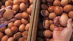 Harga Telur Ayam Lagi Mahal!
