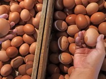 Harga Sembako Jogja Hari Ini 12 Desember 2024: Telur Ayam Ras Naik Lagi!