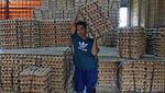 Harga Telur Ayam Lagi Mahal!