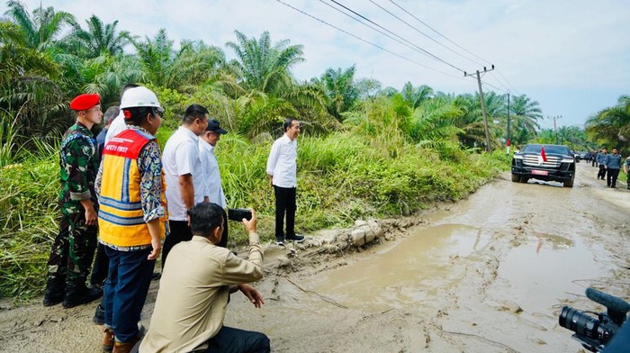Jokowi Tinjau Jalan Rusak di Labuhanbatu Utara
