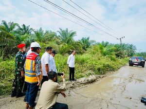 Jokowi Ungkap Perbaikan Jalan Rusak di Labura Dimulai Juli