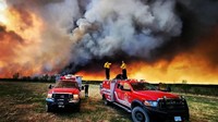 Petugas pemadam kebakaran berdiri di atas truk Kamloops Fire Rescue pada kebakaran hutan di dekat Fort St. John, British Columbia, Kanada. Kamloops Fire Rescue/REUTERS  