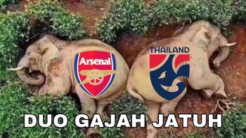 Duo gajah jatuh.... Foto: Twitter