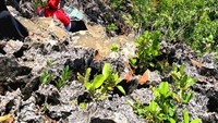 Akses menuju top view Telaga Bintang
