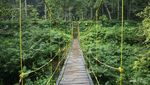 Seru Juga Menyusuri Taman Hutan Raya Djuanda