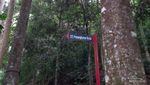Seru Juga Menyusuri Taman Hutan Raya Djuanda