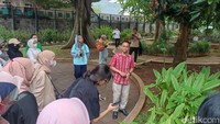 Berkunjung ke sini, traveler dapat melihat aneka tumbuhan pewarna organik yang ada di Taman Pewarnaan Organik. Ada bunga telang yang berfungsi untuk memberi warna biru, ada juga pohon kesumba yang buahnya bisa jadi pewarna oranye alami. (Weka Kanaka/detikcom)