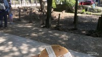 Shika senbei, makanan khusus para rusa.
