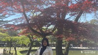 Suasana Teduhnya Nara Park.