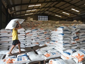 Antisipasi Dampak El Nino, Pemerintah Bakal Impor 1 Juta Ton Beras dari India!