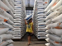 Siap-siap! Bansos Beras Bakal Disalurkan Desember