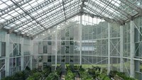 Rumah kaca anggrek di Kebun Raya Bogor tersebut diberi nama Soedjana Kassan. Ia seorang Kepala Kebun Raya Bogor pribumi pertama yang juga dikenal di ranah anggrek, seperti dikutip dari laman resminya. Foto: Trisna Wulandari/detikEdu