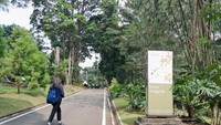 Rumah Kaca Anggrek ini bisa dikunjungi sesuai jam operasional Kebun Raya Bogor. KRB buka Senin-Jumat pukul 08.00-16.00 WIB dan Sabtu-Minggu 07.00-16.00 WIB. Masuk dari Pintu 3 Kebun Raya. Foto: Trisna Wulandari/detikEdu