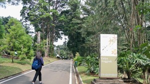 5 Wisata Alam yang Lebih Sepi dan Murah Dibandingkan Puncak