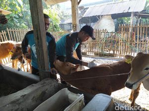 200 Ekor Sapi di Kota Blitar Divaksin Cegah Penyakit LSD