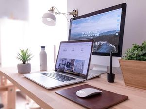 Cara Cek Domain dan Akun Medsos, Ketersediaannya untuk Bisnis Atau Personal