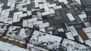 Zebra cross teracak. Foto: Boredpanda