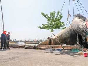 Bangkai Paus Balin Dievakuasi, Khofifah: Bakal Jadi Koleksi Jatim Park 2