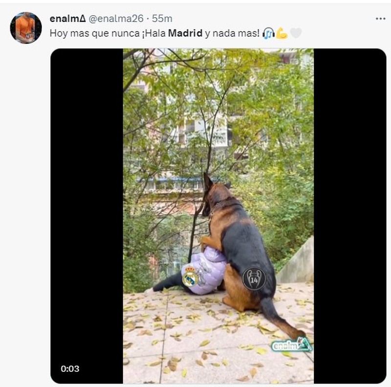 Meme Real Madrid