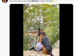 Meme Kocak Impian Real Madrid Kandas Dihempas Haaland dkk