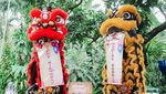 10 Potret Serunya Ultah Anak Nia Ramadhani, Ada Barongsai!