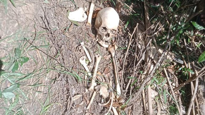 Penemuan tengkorak manusia di Kampung Naha, Desa Pengka, Kecamatan Welak, Manggarai Barat, NTT. (Istimewa)
