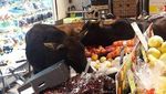 10 Aksi Hewan Curi Makanan Ini Berhasil Bikin Jengkel hingga Gemas