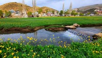 Struktur dengan ketinggian 2.350 mdpl ini juga dialiri sungai jernih.