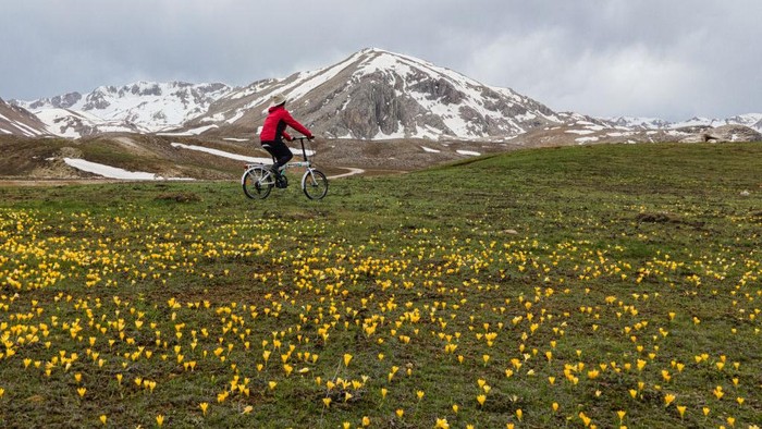 1255341131 ANTALYA, TURKIYE - MAY 11: A person rides a bike among the blooming flowers in the Egrigol region with an altitude of 2350, which has a very valuable structure due to its endemic plant and flower species at Taseli plateau in Antalya, Turkiye on May 11, 2023. The foot of Geyik Mountain, located between the Western Taurus Mountains and the Central Taurus Mountains, which separate the Central Anatolia and the Mediterranean region from each other, are referred to as the Alps of Antalya. (Photo by Seyit Konyali/Anadolu Agency via Getty Images)