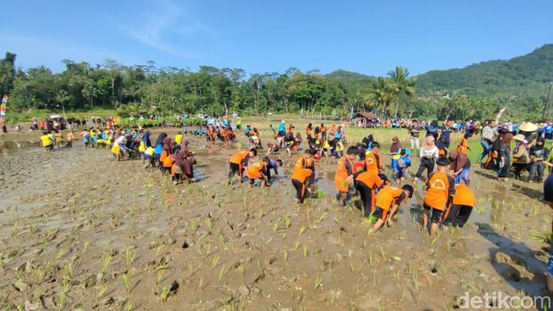 Anak-anak dan remaja di Ciamis belajar jadi petani.