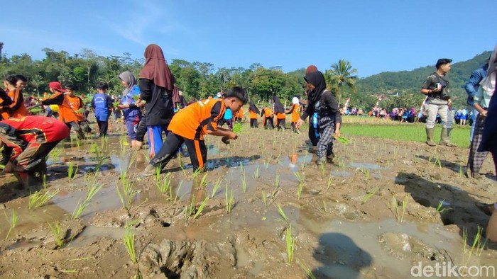 Anak-anak dan remaja di Ciamis belajar jadi petani.