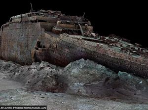 Hii... Banyak Hewan Menakutkan Hidup di Bangkai Titanic, Ada Apa Saja?