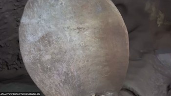 Titanic telah dieksplorasi secara ekstensif sejak bangkai kapal itu ditemukan pada tahun 1985. Tapi ukurannya sangat besar sehingga dalam kegelapan yang dalam, kamera hanya dapat menunjukkan kepada kita separuh foto-foto dari kapal yang membusuk, sama sekali belum pernah terlihat secara utuh. Foto: Atlantic Productions/Magellan