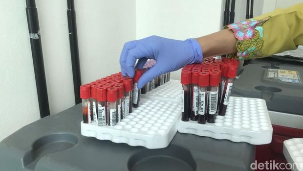 donor darah RS Royal Progress donor darah RS Royal Progress