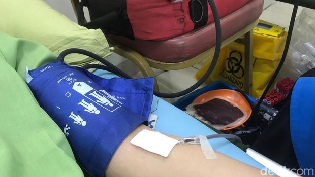 donor darah RS Royal Progress donor darah RS Royal Progress