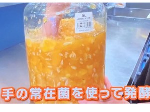 Idih..Hotel Jepang Bikin Fermentasi Minuman Pakai Bakteri dari Tangan Pegawai