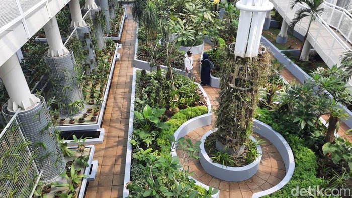 Griya Anggrek Kebun Raya Bogor