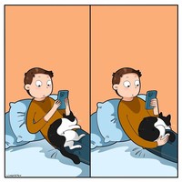 Ketika memelihara seekor kucing, ada saja tingkahnya yang membuat kita gemas. Beberapa di antaranya digambarkan dalam bentuk komik berikut ini.