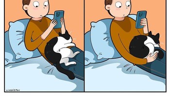 Benar tidak nih detikers? Pasti ndusel mulu si kucing saat kita bersantai. Foto: (Bored Panda).